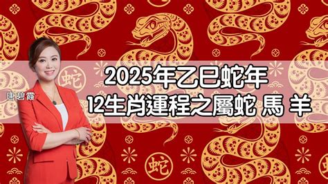 蛇年運程|屬蛇/馬/羊生肖運程2025｜蛇年屬蛇情緒易不穩、屬羊 